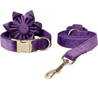 Colliers for Chien à Fleurs printanières Collier for Violet détachable avec Cadeau de Fleur for Animal Compagnie for réglable(XL)