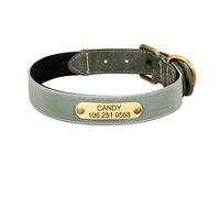 Colliers gravés pour Chiens et Chats, Colliers réfléchissants en Cuir pour Chiots, Colliers personnalisés pour Chiens et Chats(Green 2,XXL)
