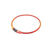 Colliers pour chien lumineux à LED large Nobby Pet Visible Rouge L