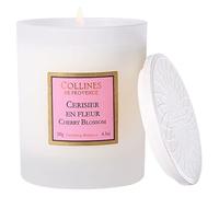 Collines de Provence - Bougie parfumée 180g Cerisier en Fleur