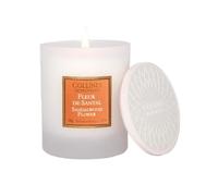 Collines de Provence - Bougie parfumée 180g - Fleur de Santal