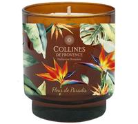 COLLINES DE PROVENCE-Bougie parfumée senteur Fleur de Paradis Collines de Provence - 220 g
