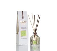 Collines de Provence Bouquet Aromatique 100ml Thé Vert, Transparent 7cm x 6cm x 23cm