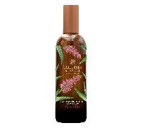 Collines de Provence Fraîcheur végétale Parfum d'intétieur Fleur d'Aloe 100ml