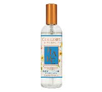 Collines de Provence Les Estivales Parfum d'Intérieur Fleur de Tiaré 100ml