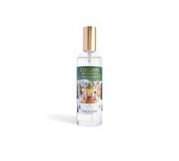 Collines de Provence, Parfum d'intérieur 100 ml - Forêt de Sapin