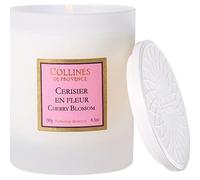 Collines de Provence - Bougie parfumée 180g Cerisier en Fleur