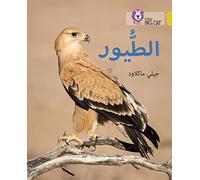 Collins Big Cat Arabic - Birds: Level 9
