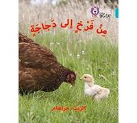 Collins Big Cat Arabic - Chick to hen: Level 7 - [Version Originale] Inconnu (Auteur)