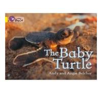 Collins Big Cat - The Baby Turtle - [Version Originale] Angie Belcher Andy Belcher (Auteur)