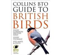 Collins BTO Guide to British Birds by Paul Stancliffe Paperback Book Stancliffe, Paul (Auteur)