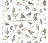 Collins,Edwyn - Losing Sleep [Import]