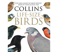 Collins Life-Size Birds: The Only Guide to Show British Birds at Their Actual Size