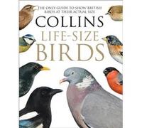 Collins LifeSize Birds by Rob Read Inconnu (Auteur)