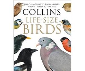 Collins LifeSize Birds by Rob Read Inconnu (Auteur)