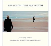 Collins - Possibilities Are Endless