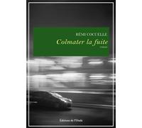Colmater la fuite - Rémi Cocuelle - L'onde Eds De - broché - Roman