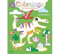 Colo contour bri les dinosaure - Collectif - Lito - broché - Document jeunesse