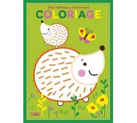Colo petits tableaux herisson Mes tableaux animaux - Corinne Lemerle - Lito - broché - Document jeunesse