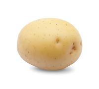 Colomba 100 Plants de pomme de terre