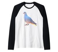 Colombe en Blanc Pigeon de la Ville Ramier Blanc Colombes Manche Raglan