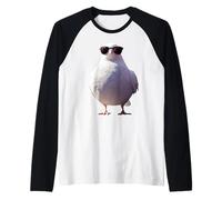 Colombe en Blanc Pigeon de la Ville Ramier Blanc Colombes Manche Raglan