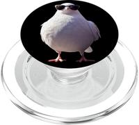 Colombe en Blanc Pigeon de la Ville Ramier Blanc Colombes PopSockets PopGrip pour MagSafe