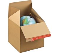 ColomPac carton d'expédition Eurobox CP154.151015 145x95x140mm brun