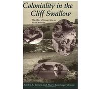 Coloniality In The Cliff Swallow: The Effect Of Group Size On Social Behavior