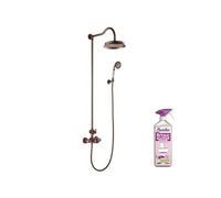 Colonne de douche thermostatique recoupable PAINI Lady's Auburn + nettoyant Briochin