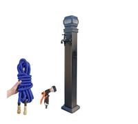 Colonne d'eau de jardin à énergie solaire avec éclairage, bouche d'incendie extérieure sans gel pour le jardin, robinet en aluminium avec tuyau extensible de 15 m de long en option (haut, G)