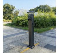 Colonne d'eau de jardin à énergie solaire avec éclairage, bouche d'incendie extérieure sans gel pour le jardin, robinet en aluminium avec tuyau extensible de 15 m de long en option (haut, D)