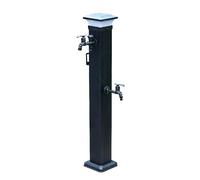 Colonne D'eau de Jardin Autoportante avec 2 Robinets et Lampe Solaire, Distributeur D'eau Antigel en Alliage D'aluminium, Support pour Tuyau D'arrosage(79cm/31in)