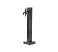 Colonne d'eau de jardin en acier inoxydable avec robinet à double sortie, bouche anti-gel autoportante pour utilisation en extérieur
