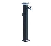 Colonne d'eau extérieure en acier inoxydable avec double robinet, distributeur d'eau de jardin avec robinet à bras pour un accès facile à l'alimentation en eau du tuyau