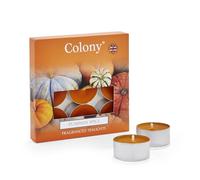 Colony Bougies chauffe-plat citrouille épices