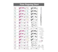 Color-Coded Flute Fingering Chart - Easy-Read Reference Poster for Beginners to Advanced, Essential Music Classroom & Practice Room Wall Art (Framed,16x24inch(40x60cm))