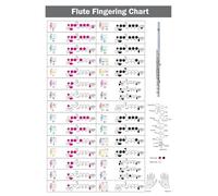 Color-Coded Flute Fingering Chart - Easy to Read Educational Poster for Beginner & Intermediate Flute Players(Framed,16x24inch(40x60cm))