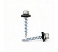 Color-Head Lot de 100 vis à tôle trapézoïdale, couleur Aluminium blanc, 4,8x35 mm, vis autoperceuses, à tôle avec rondelle EPDM, vis de toit galvanisées pour tôle trapézoïdale et toit en