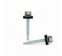 Color-Head Lot de 100 vis à tôle trapézoïdale, couleur Aluminium gris, 4,8x20 mm, vis autoperceuses, à tôle avec rondelle EPDM, vis de toit galvanisées pour tôle trapézoïdale et toit en