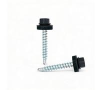 Color-Head Lot de 100 vis à tôle trapézoïdale, couleur Gris graphite, 4,8x35 mm, vis autoperceuses, à tôle avec rondelle EPDM, vis de toit galvanisées pour tôle trapézoïdale et toit en