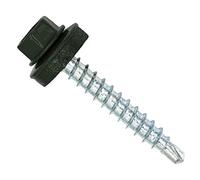 Color-Head Lot de 100 vis à tôle trapézoïdale, couleur Oxyde de chrome vert, 4,8x60 mm, vis autoperceuses, à tôle avec rondelle EPDM, vis de toit galvanisées pour tôle trapézoïdale et toit en