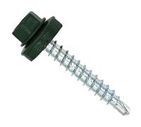 Color-Head Lot de 100 vis à tôle trapézoïdale, couleur vert mousse, 4,8x35 mm, vis autoperceuses, à tôle avec rondelle EPDM, vis de toit galvanisées pour tôle trapézoïdale et toit en