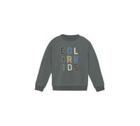 COLOR KIDS Pull-over ' COSweat W. JR. Logo Print ' vert, Taille 128