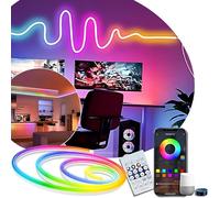 COLOR LIGHTING Bande Lumineuse Néon LED RGBIC, 1 mètre, Guirlande Lumineuse LED USB 5V, Décoration Intérieure/Extérieure, Contrôle Télécommande & Application Bluetooth