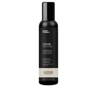 Color Mousse blond cendré, Bombe aérosol 200 ml