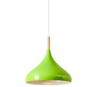 Color - Nordic Pendant Light, 1-Head Wooden Chandelier Shade, E27 Lamp Holder, Ceiling Lighting for Home(Green,9.4in)
