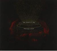 Color of Iris,the - Another Saint