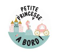 Color Pop Disque magnétique bébé à Bord - PVC - Diam 15 cm - Votre Coffre Doit être en métal et Vous aurez Besoin d’Une Surface Plane de 18 x 18 cm (Rose)