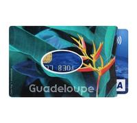 Color Pop Etui Rigide 1 Carte Collection La Réunion - Fabrication française - 6 x 9 cm (Imprimé Oiseau du Paradis)